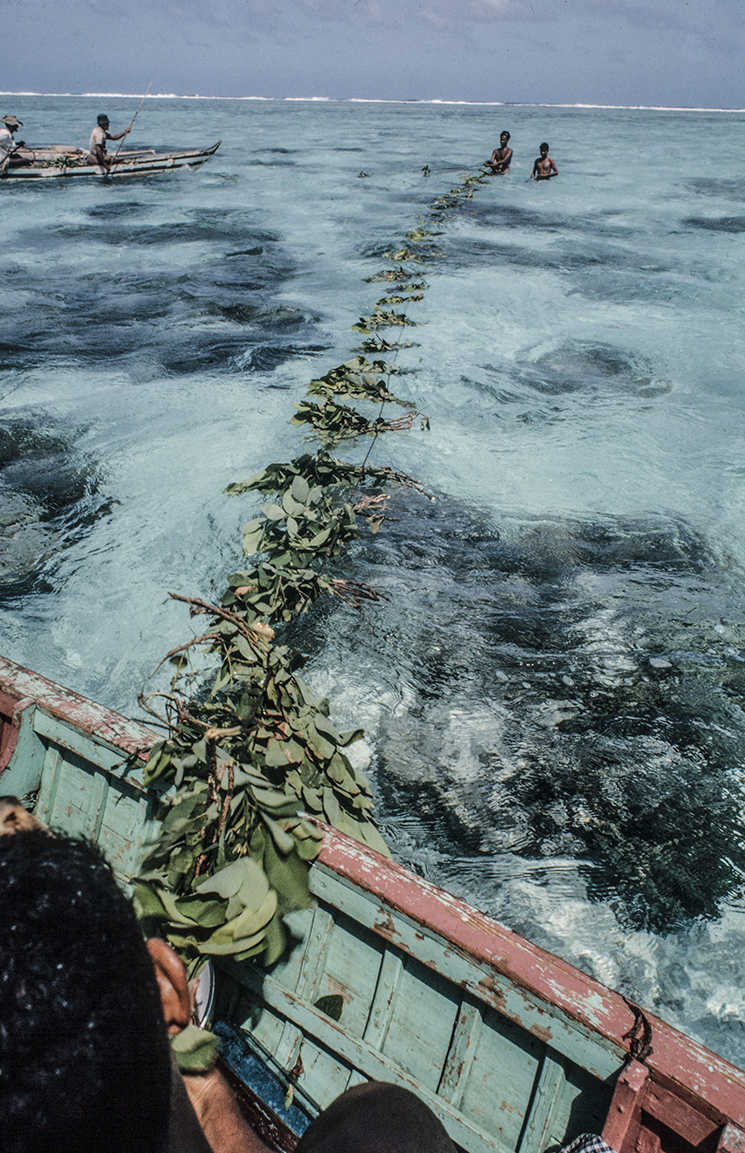 3054-10.jpg
Ropes with leaves start the surround. : Kapinga Fish Surround : Clayton Price Photographer
