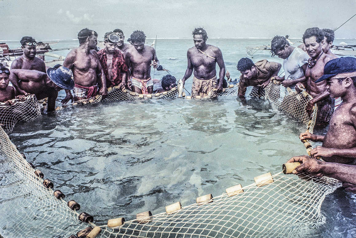 3156-10-2.jpg
V shaped net getting lifted to unload : Kapinga Fish Surround : Clayton Price Photographer