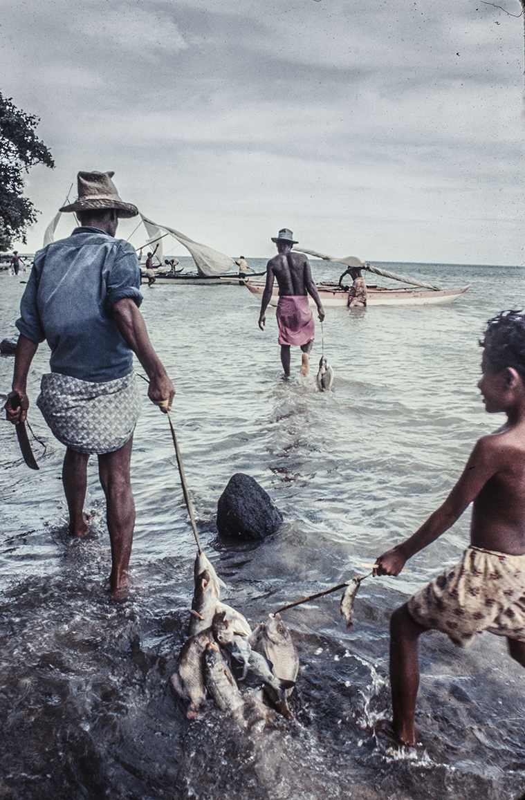 3158-3.jpg
Older men get the larger fish, but all get equal weight.  : Kapinga Fish Surround : Clayton Price Photographer